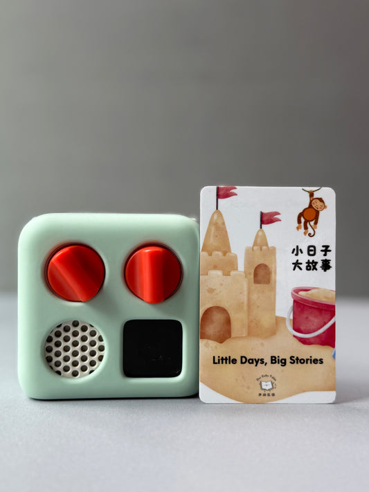 Little Days, Big Stories 《小日子大故事》