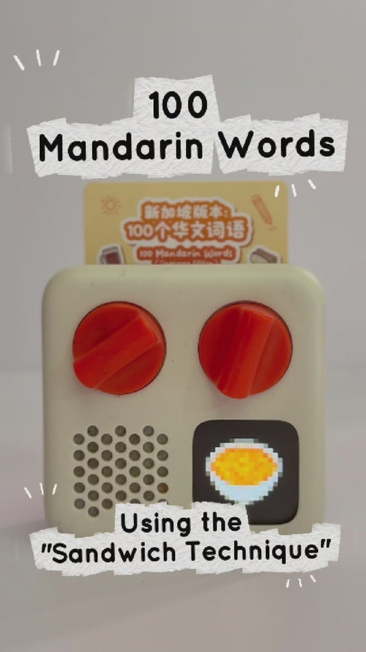 100 Mandarin Words (Singapore Edition)《新加坡版本：100个华文词语》